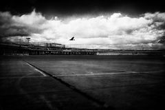 landing