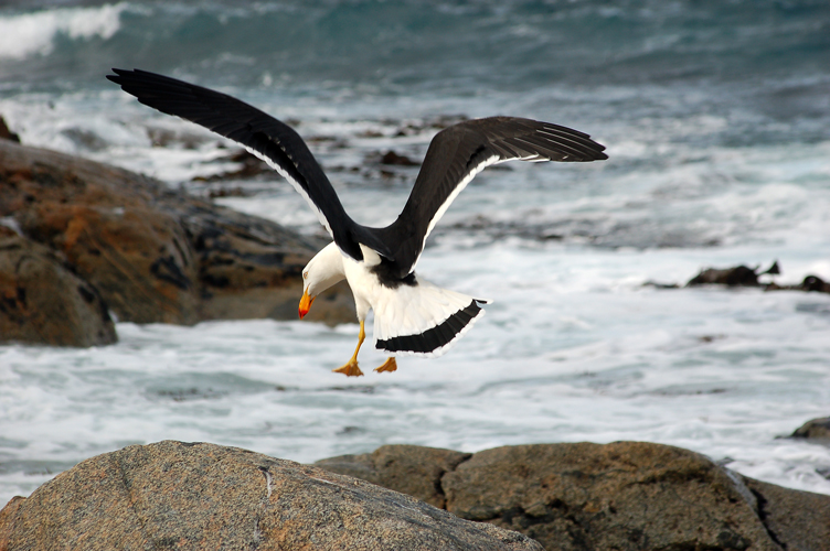 landing