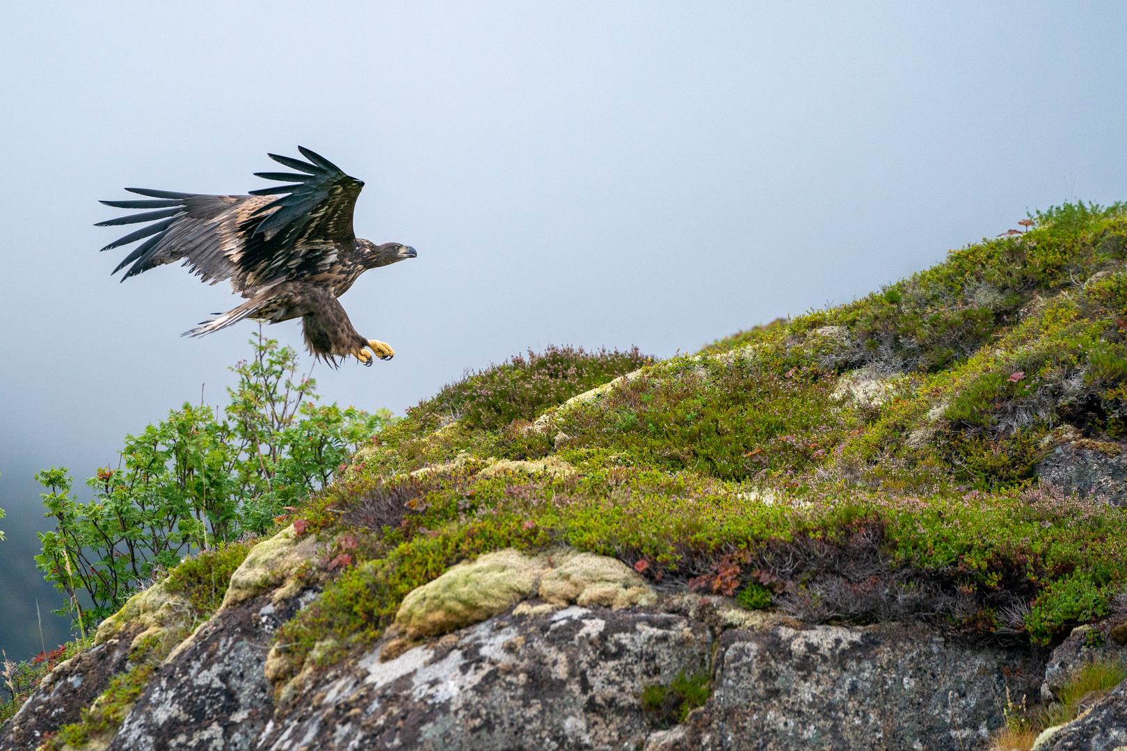 Landing