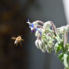 landing approach