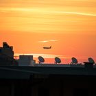 Landing at sunrise