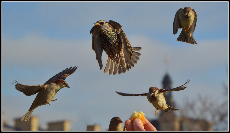 landing