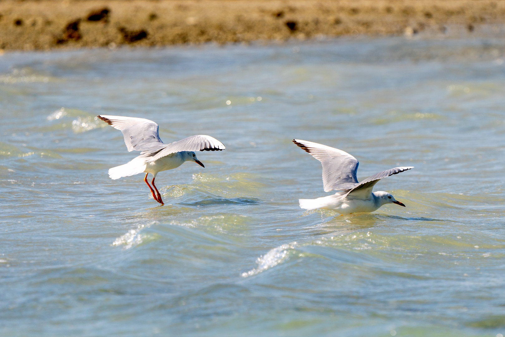 Landing 