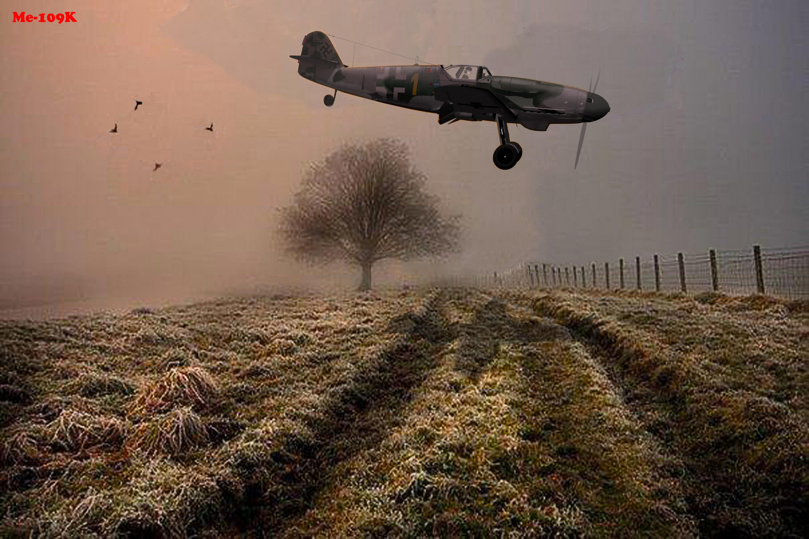 Landing in fog