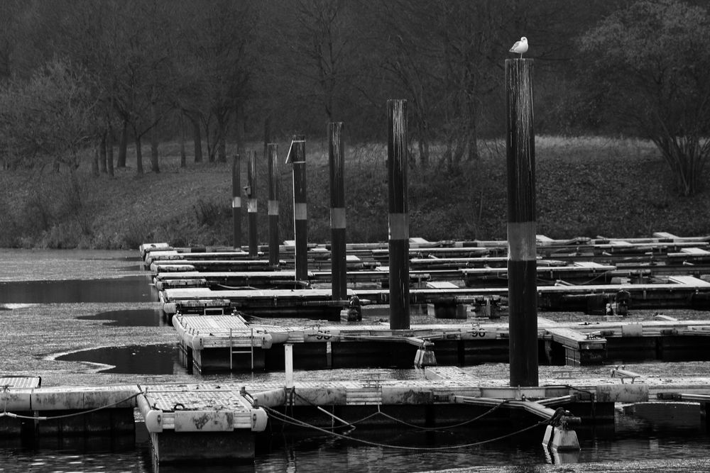 Landing Stage