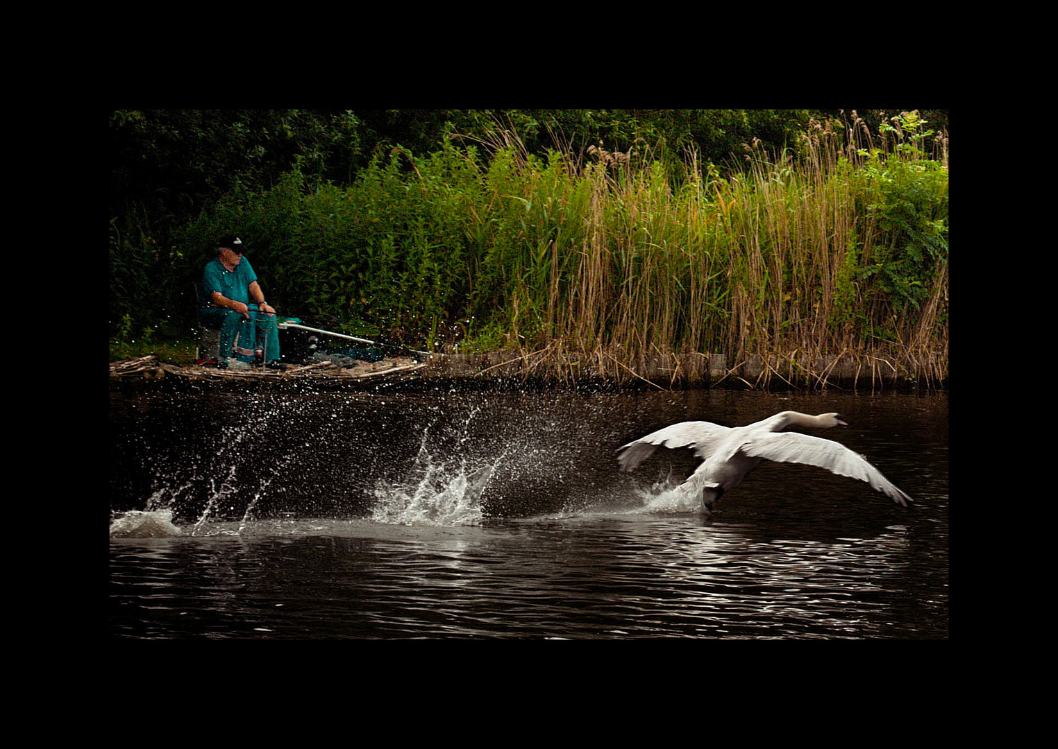 Landing the Catch