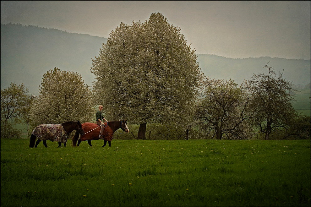 Landjugend