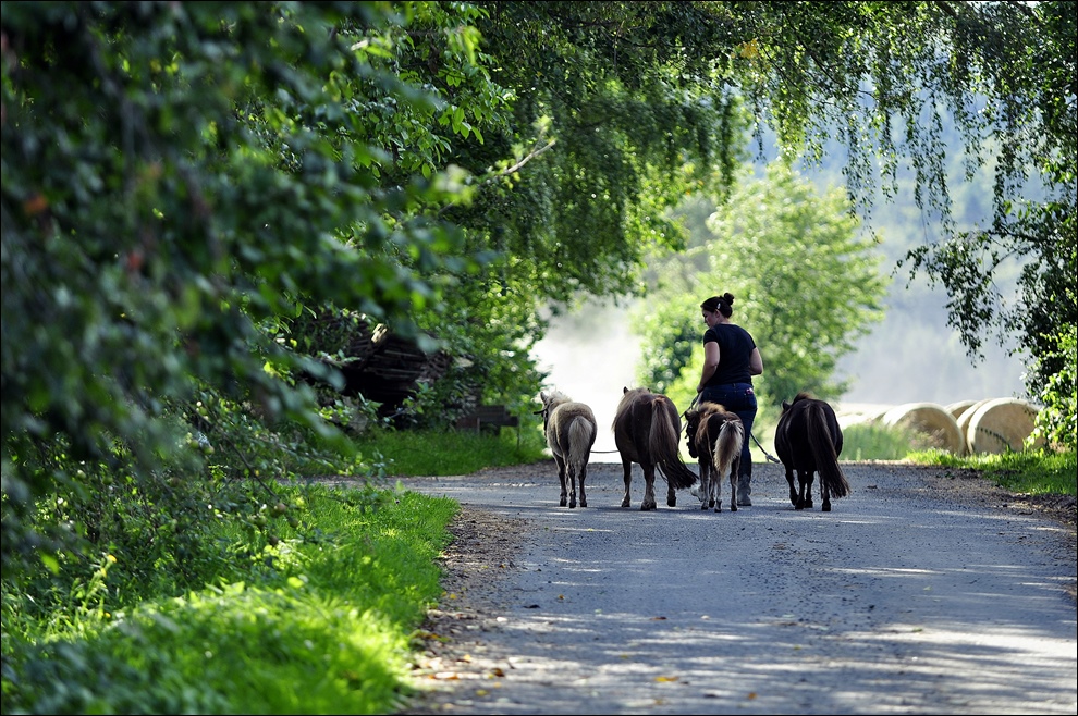 Landjugend