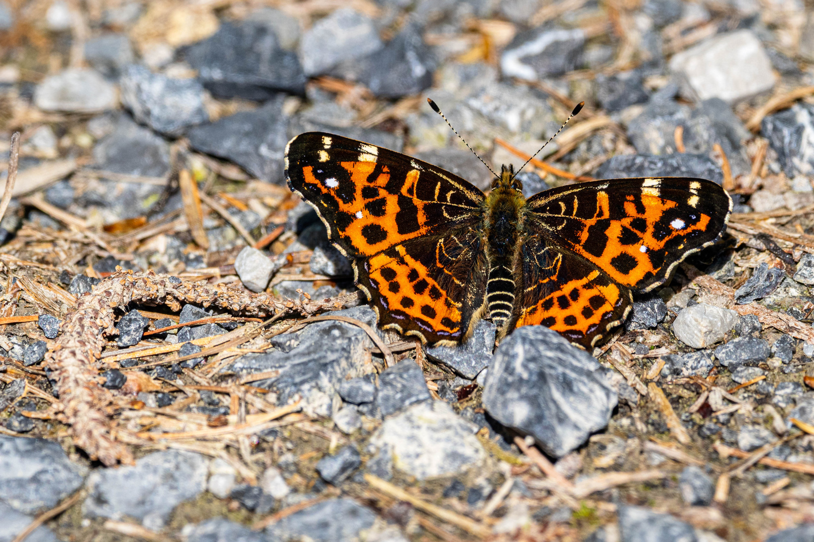 Landkärtchen Nr. 1