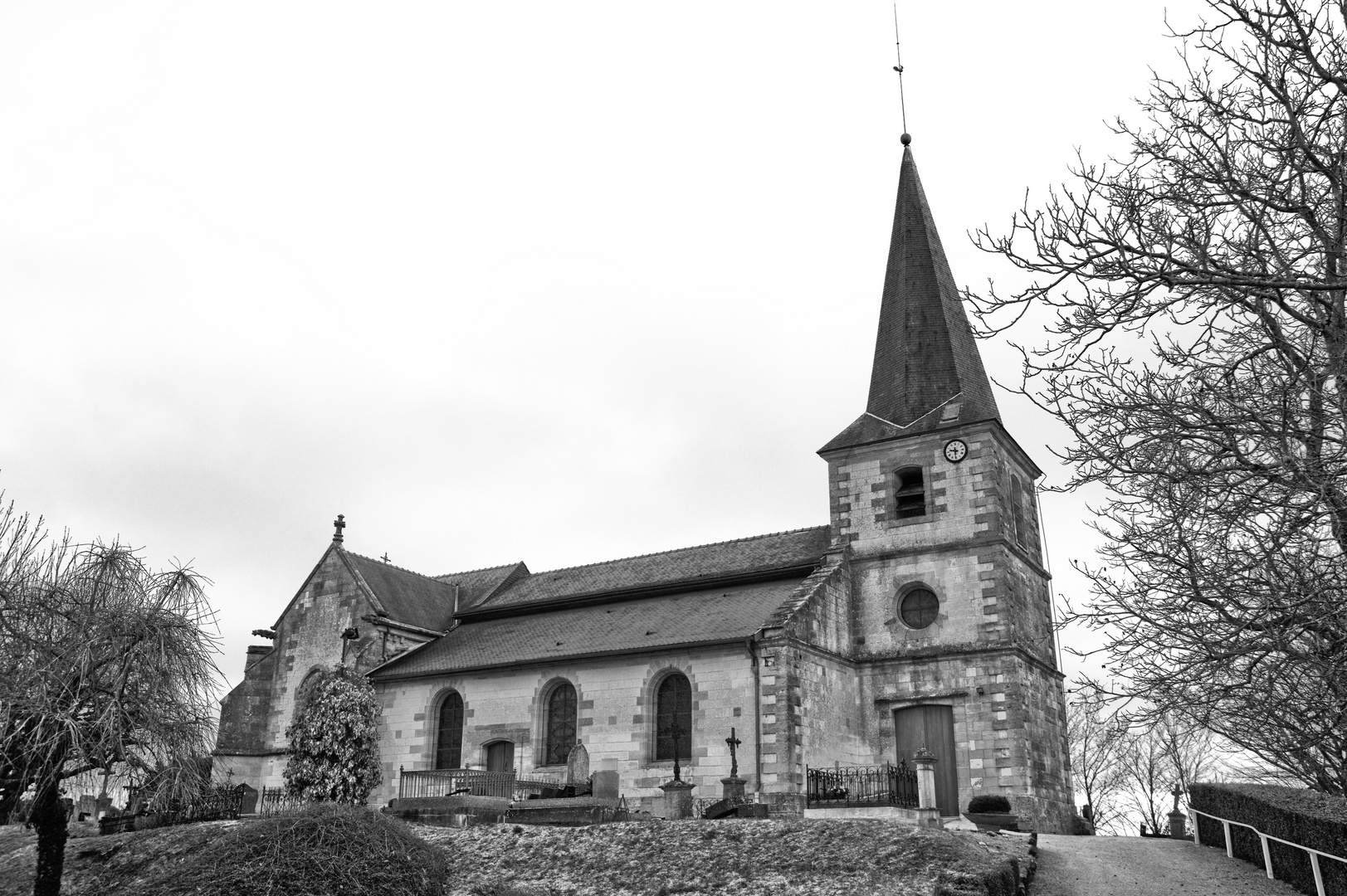 Landkirsche