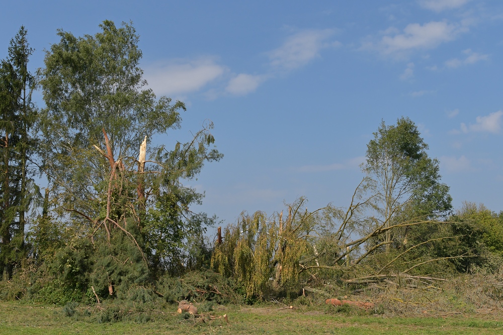 Landkreis Offenbach im August 2019: Sturmfolgen 07