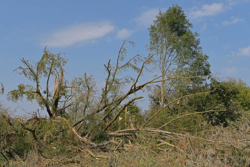 Landkreis Offenbach im August 2019: Sturmfolgen 08