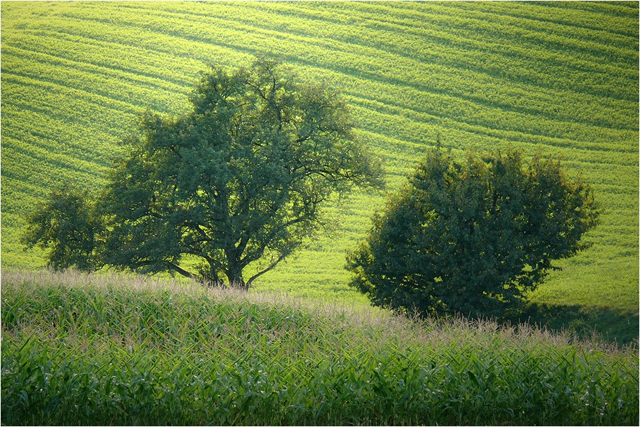 Landläufig