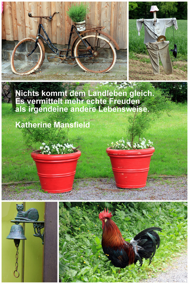 Landleben