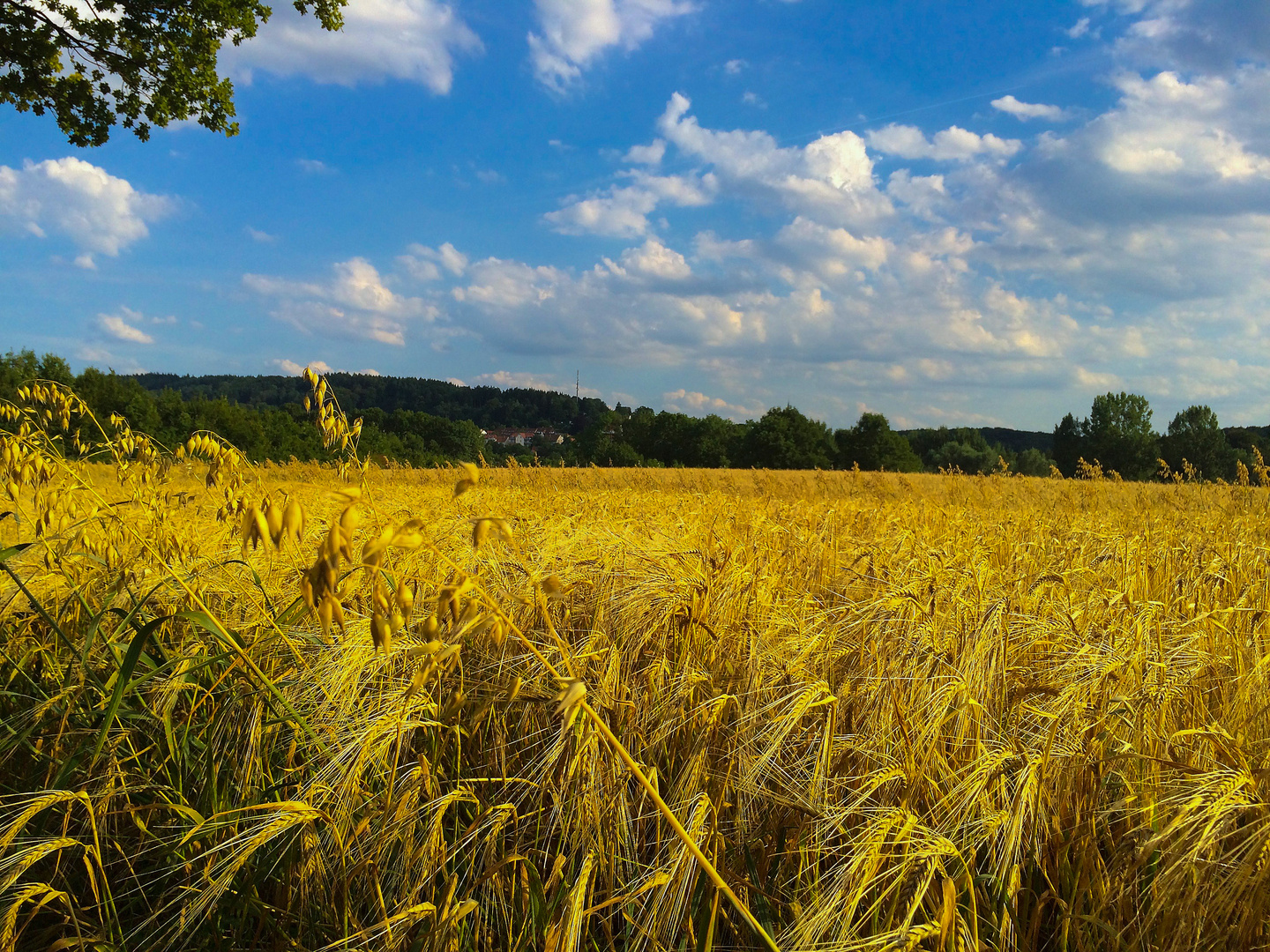 Landleben