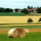 Landleben...