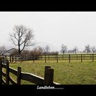 Landleben  /  Country-life