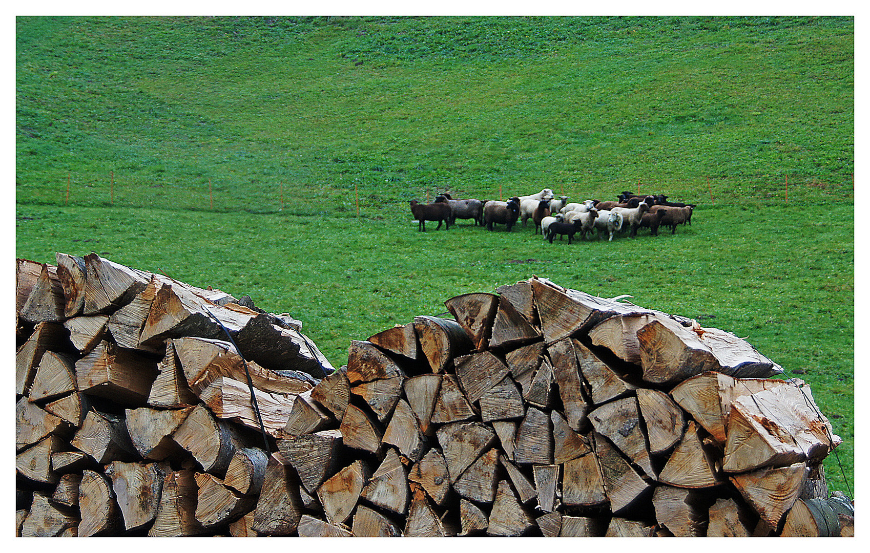 Landleben im Herbst