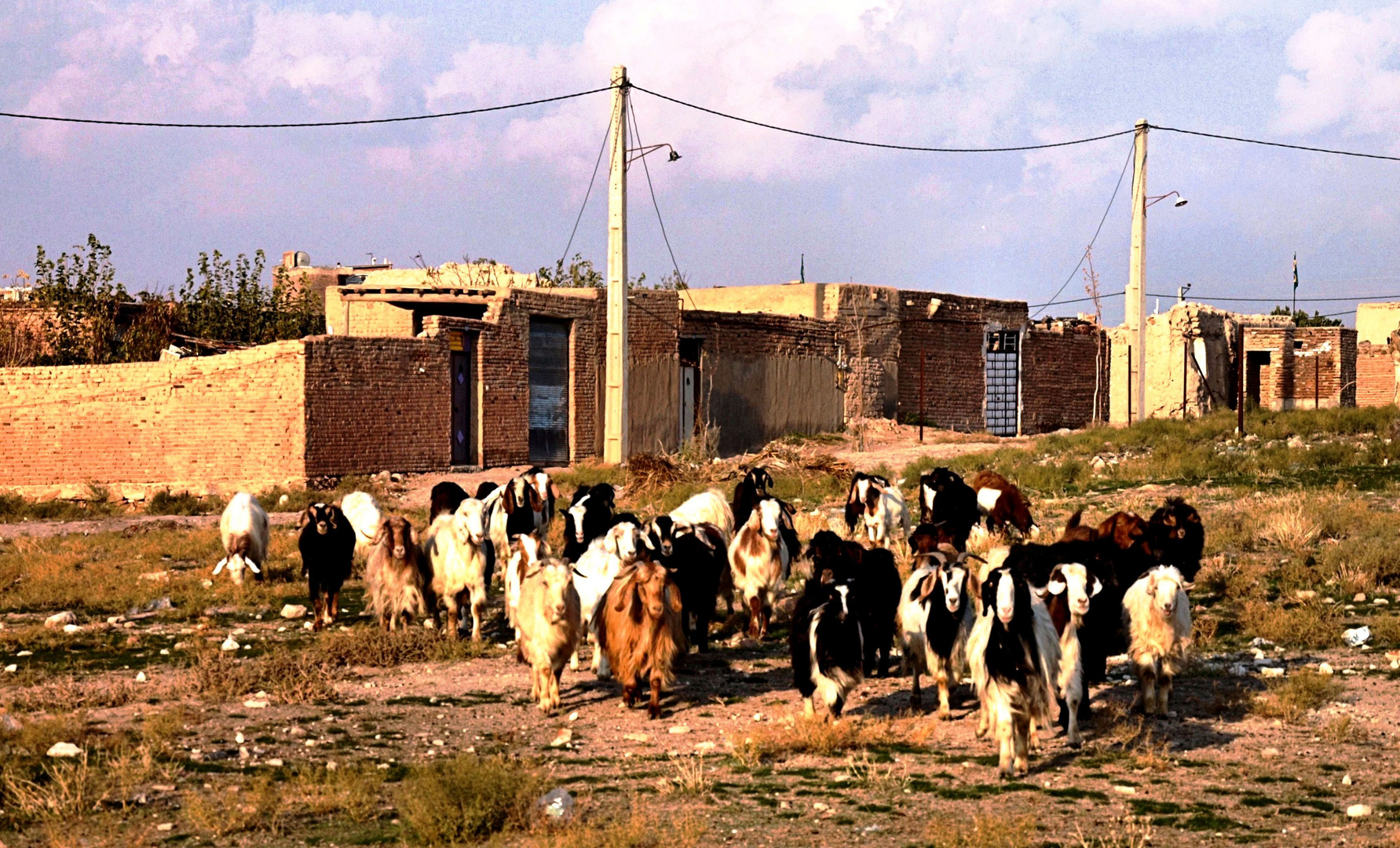 Landleben im Iran