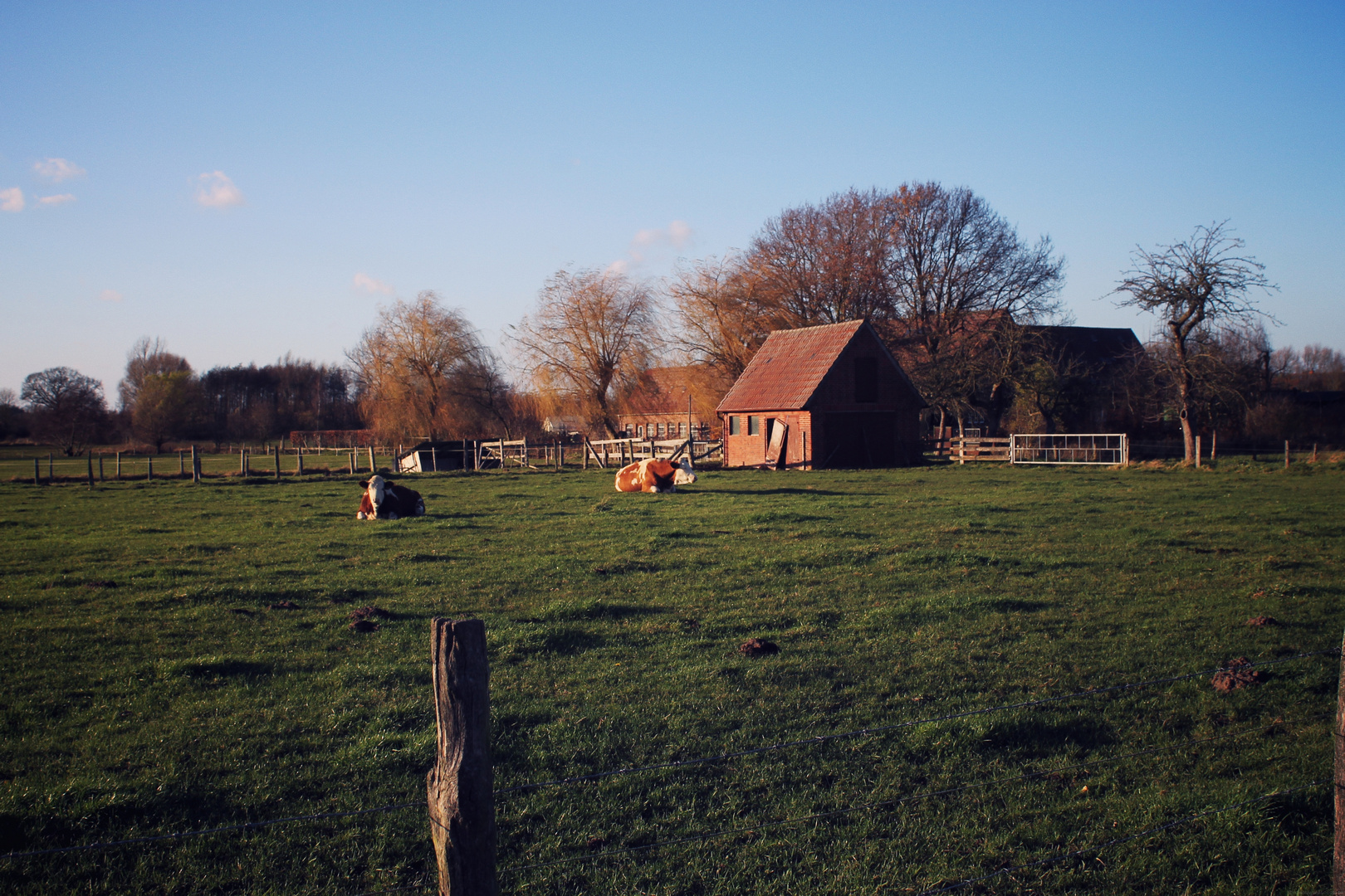 Landleben im Münsterland