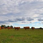 Landleben im Périgord 02