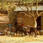 Landleben in Äthiopien 
