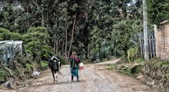 Landleben in Ecuador