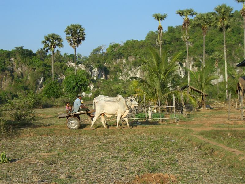 Landleben in Kampot
