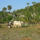 Landleben in Kampot