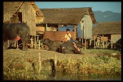 Landleben in Nyaung-Shwe, Lake Inle