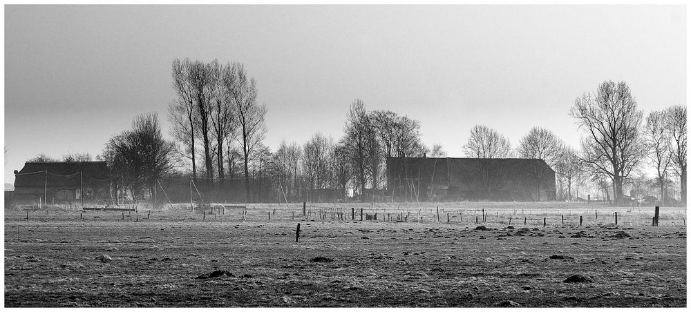 Landleben in Ostfriesland