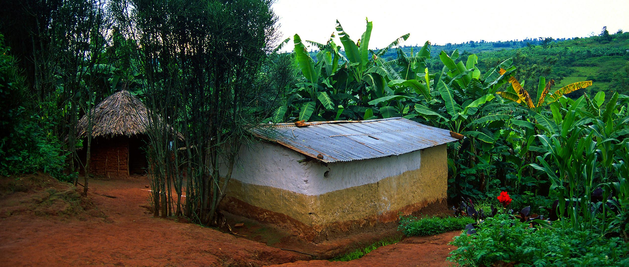 Landleben in Ruanda
