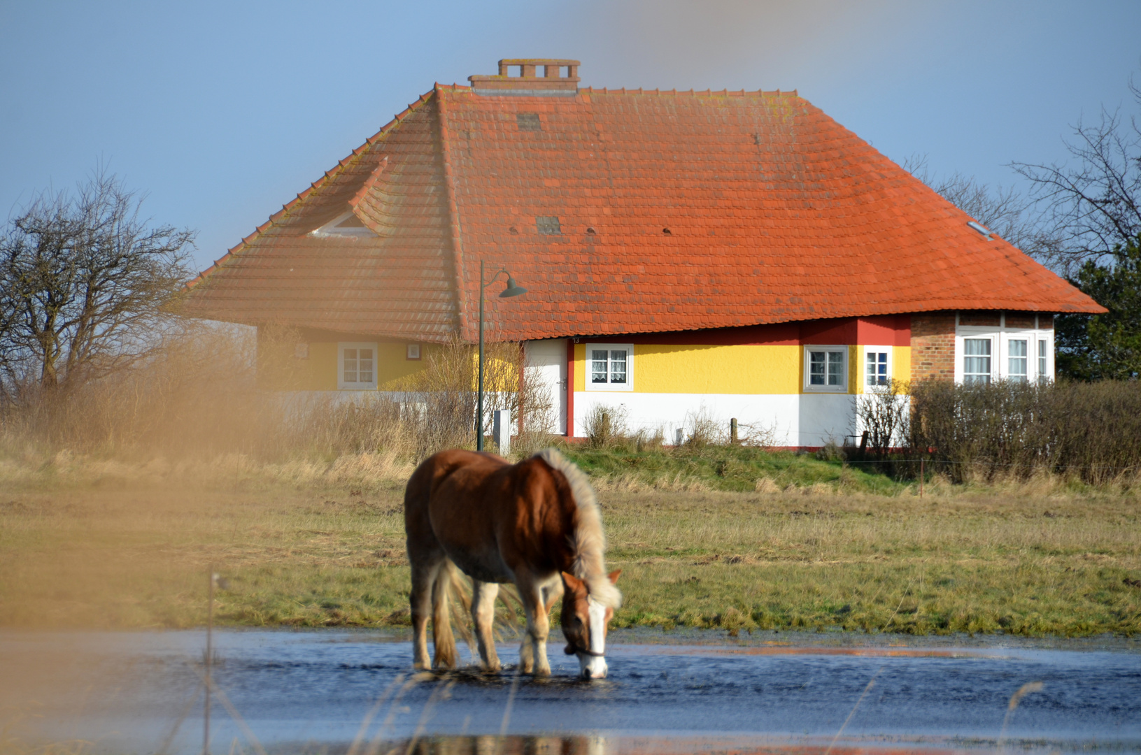 Landlich vor Max Taut Haus in Vitte 