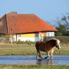 Landlich vor Max Taut Haus in Vitte 