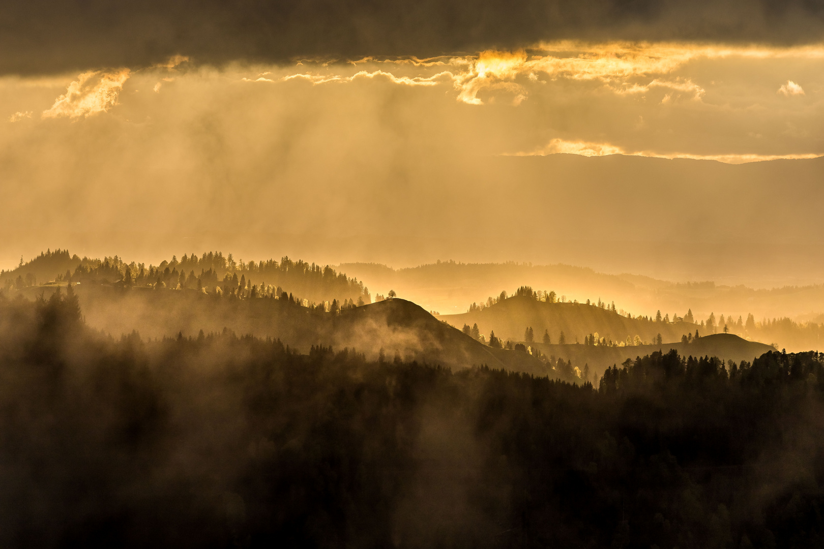 LandLiebe