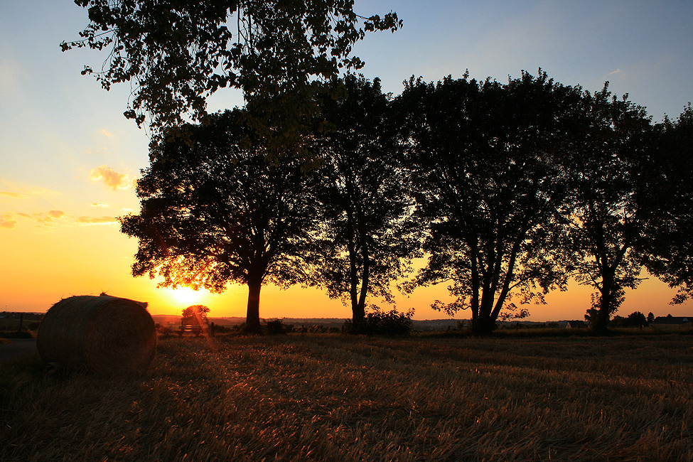 Landliebe