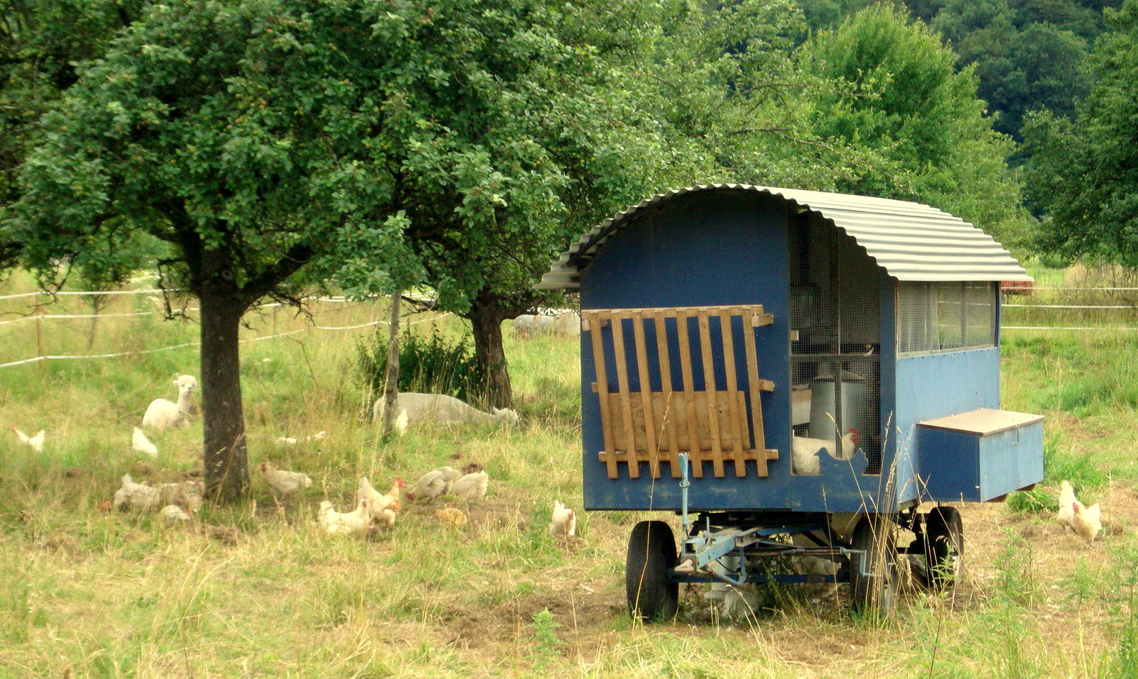 Landluft geschnuppert