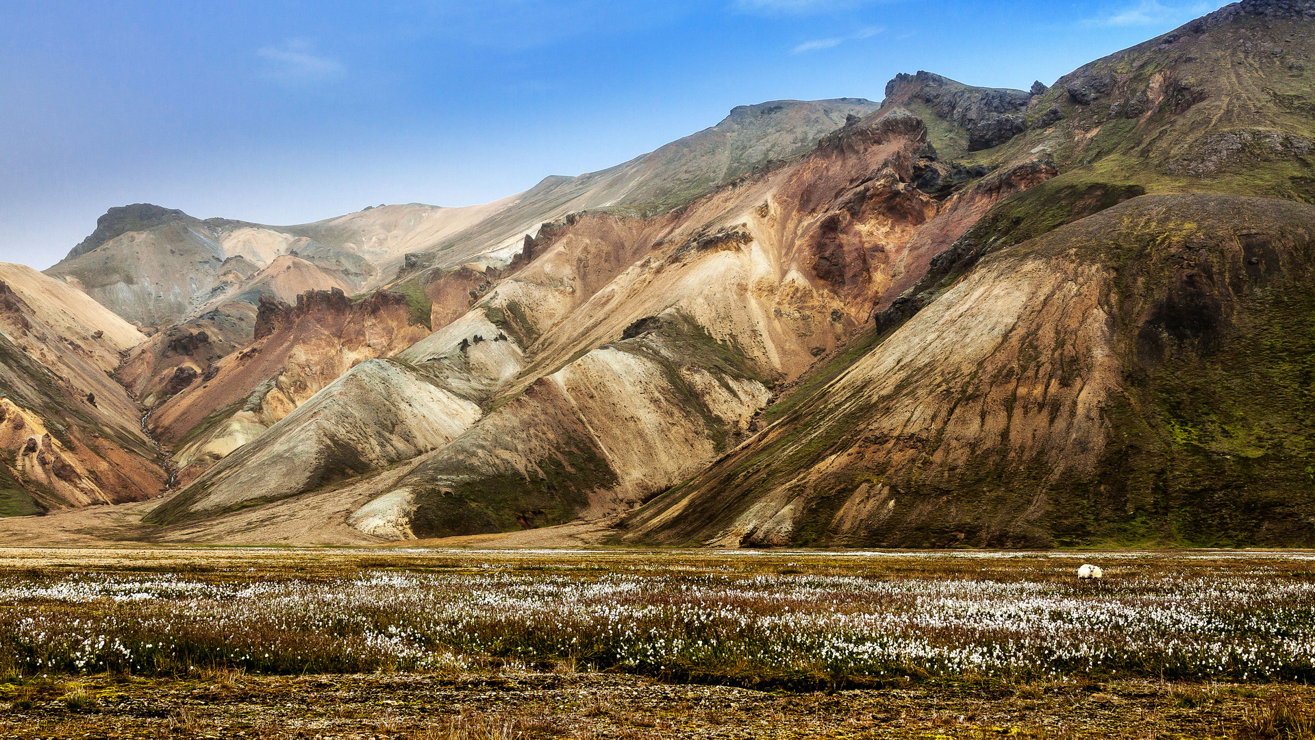 Landmanalaugar im Tal