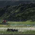 LANDMANNALAUGAR # 1