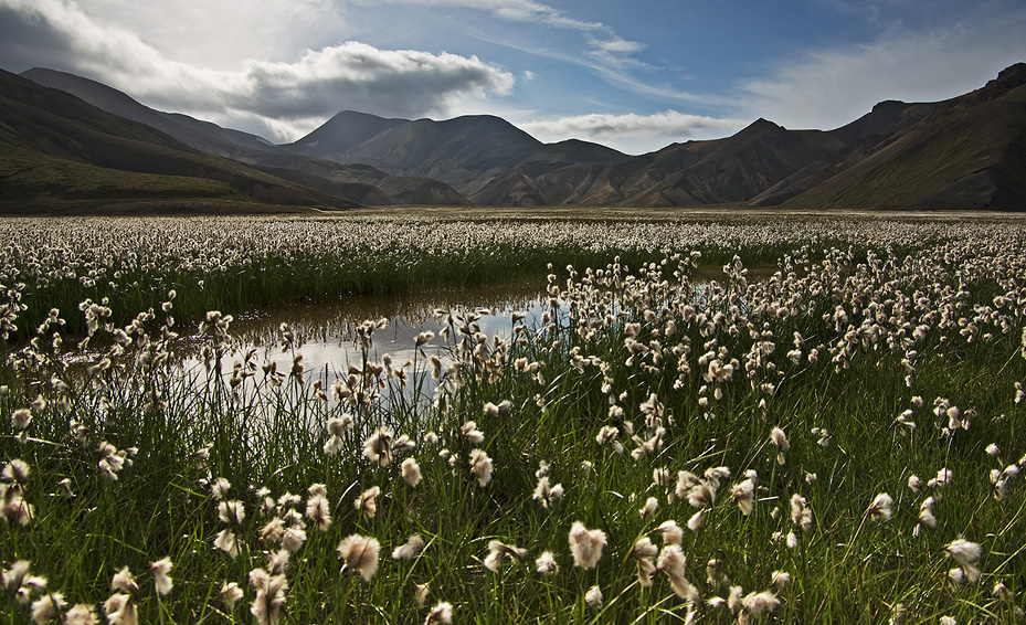 Landmannalaugar