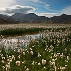 Landmannalaugar