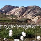 Landmannalaugar 2