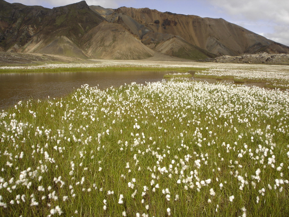 Landmannalaugar