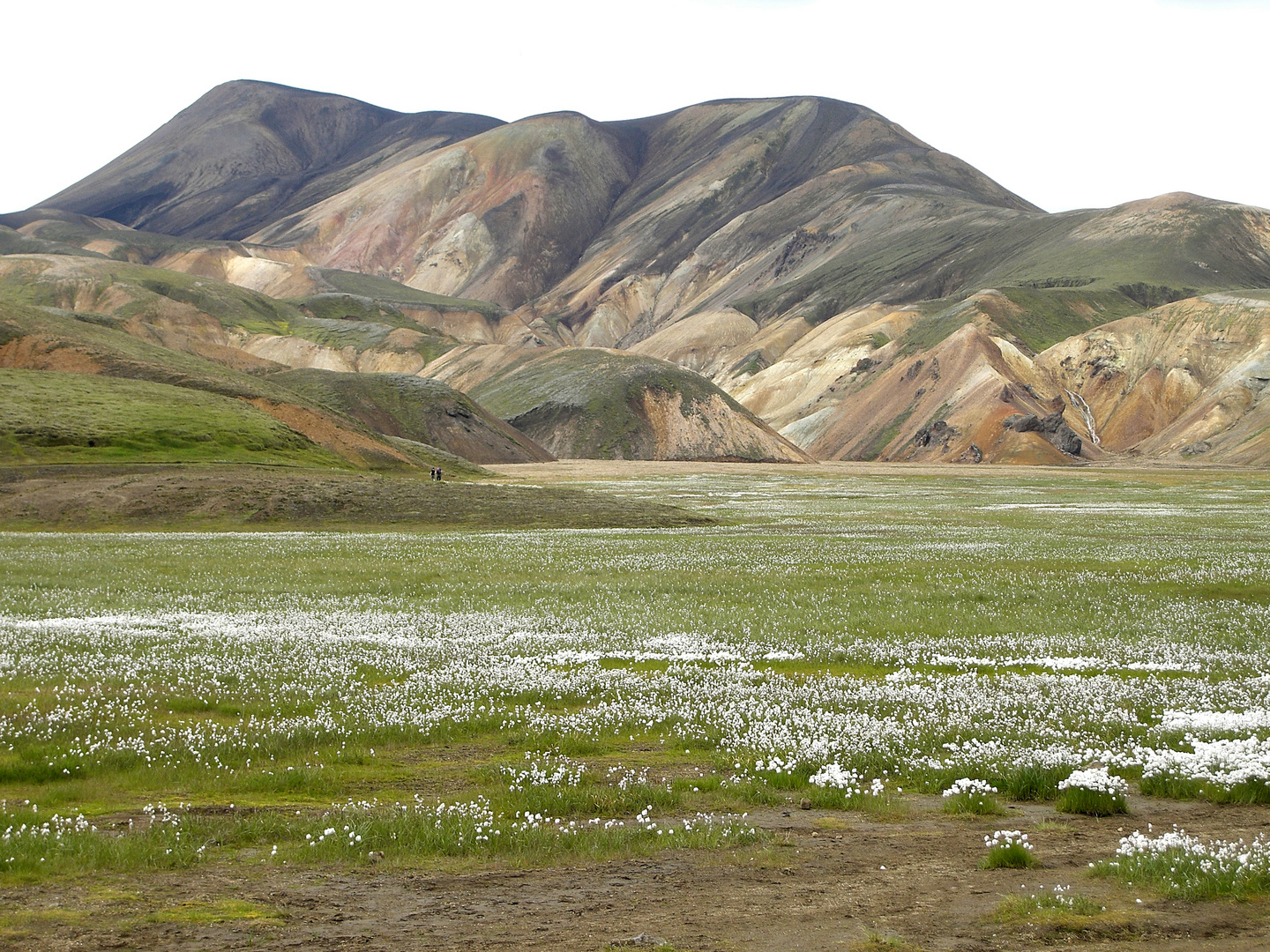 Landmannalaugar