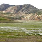 Landmannalaugar