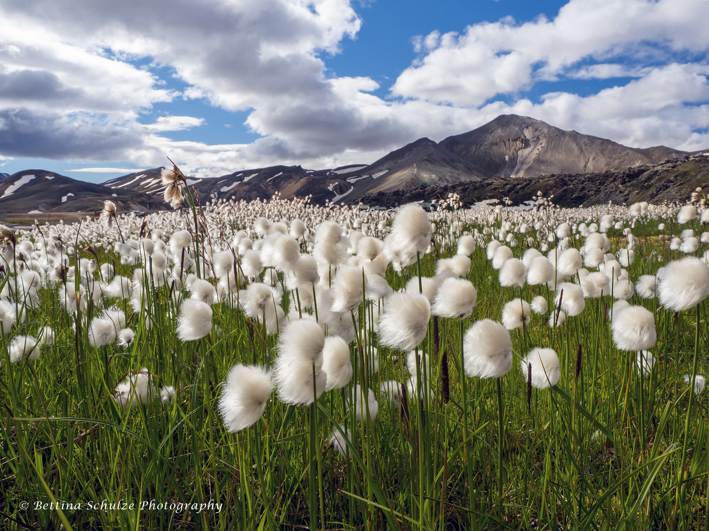 Landmannalaugar August 2022