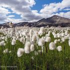 Landmannalaugar August 2022