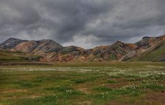 Landmannalaugar