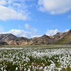 Landmannalaugar