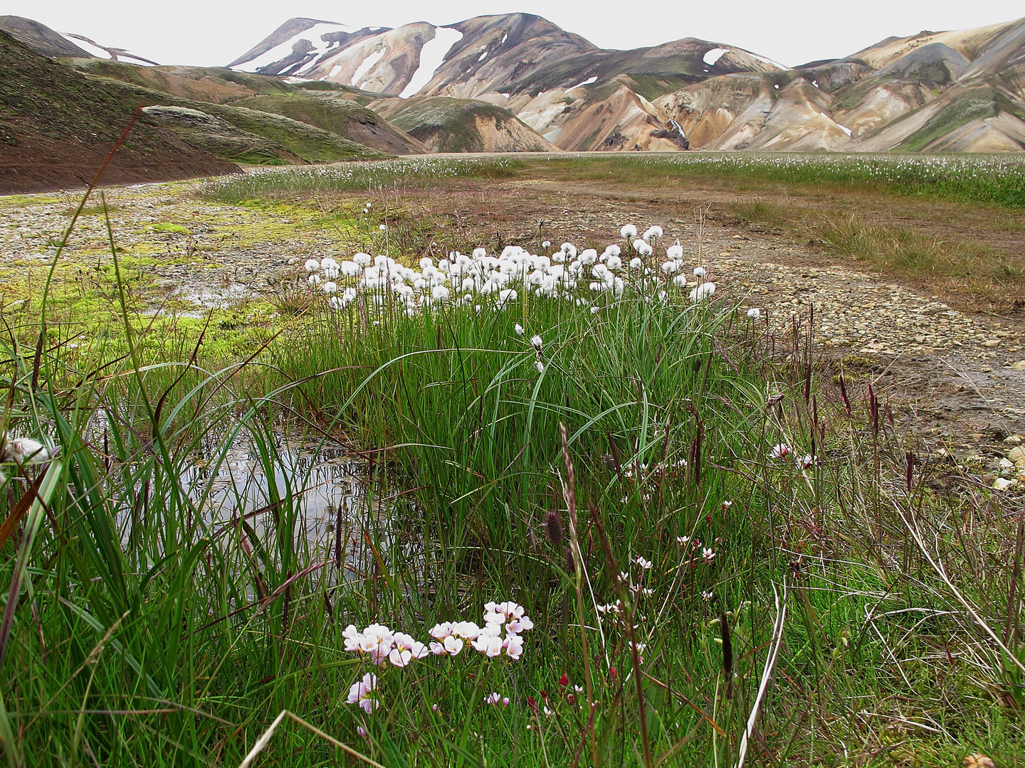 Landmannalaugar - hinter dem Obsidianstrom